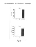 METHODS RELATED TO TIM 3, A TH1-SPECIFIC CELL SURFACE MOLECULE, FOR     ACTIVATING ANTIGEN PRESENTING CELLS diagram and image