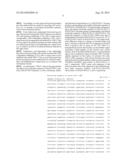 METHODS RELATED TO TIM 3, A TH1-SPECIFIC CELL SURFACE MOLECULE, FOR     ACTIVATING ANTIGEN PRESENTING CELLS diagram and image