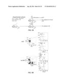 Tumor Vaccination in Combination with Hematopoietic Cell Transplantation     for Cancer Therapy diagram and image