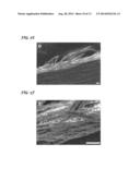 Dendritic Macroporous Hydrogels Prepared By Crystal Templating diagram and image