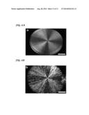 Dendritic Macroporous Hydrogels Prepared By Crystal Templating diagram and image