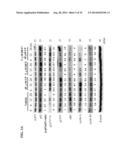 USE OF DEOXYELEPHANTOPIN (DET) AND ANALOGUES THEREOF FOR TREATMENT OF     MELANOMA diagram and image