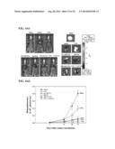 USE OF DEOXYELEPHANTOPIN (DET) AND ANALOGUES THEREOF FOR TREATMENT OF     MELANOMA diagram and image