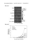 USE OF DEOXYELEPHANTOPIN (DET) AND ANALOGUES THEREOF FOR TREATMENT OF     MELANOMA diagram and image