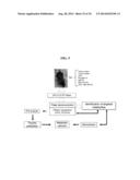 USE OF DEOXYELEPHANTOPIN (DET) AND ANALOGUES THEREOF FOR TREATMENT OF     MELANOMA diagram and image