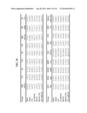 USE OF DEOXYELEPHANTOPIN (DET) AND ANALOGUES THEREOF FOR TREATMENT OF     MELANOMA diagram and image