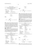 LITHIUM COMPOSITIONS diagram and image