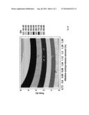 ANIMAL DIGESTS HAVING ENHANCED PALATABILITY FOR USE IN PET FOOD diagram and image