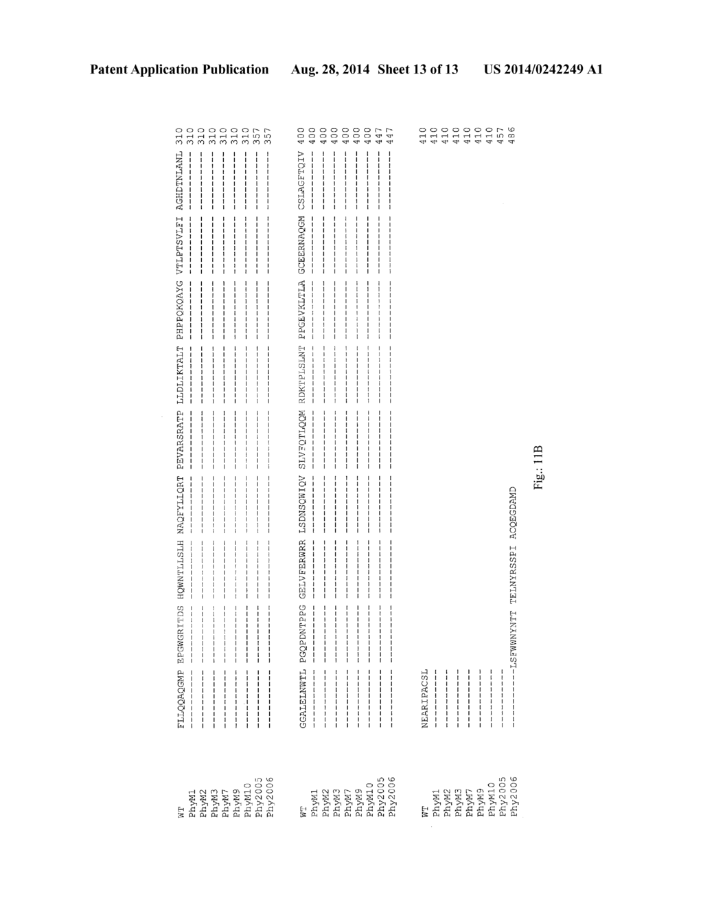 POLYPEPTIDE HAVING PHYTASE ACTIVITY AND INCREASED TEMPERATURE RESISTANCE     OF THE ENZYME ACTIVITY, AND NUCLEOTIDE SEQUENCE CODING SAID POLYPEPTIDE - diagram, schematic, and image 14