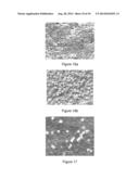 DIRECT CARBON ELECTROCHEMICAL CELL diagram and image