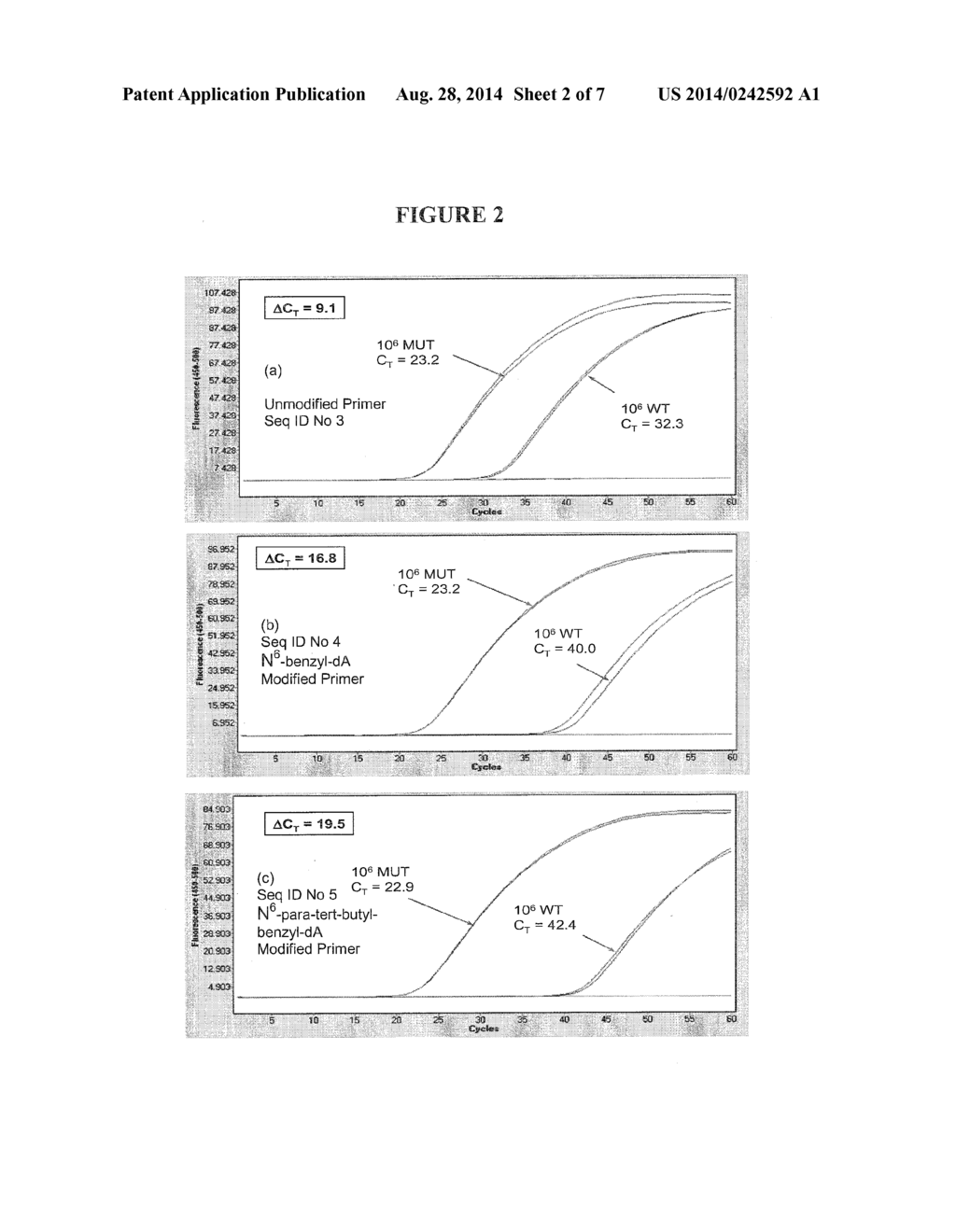 Allele-Specific Amplification - diagram, schematic, and image 03