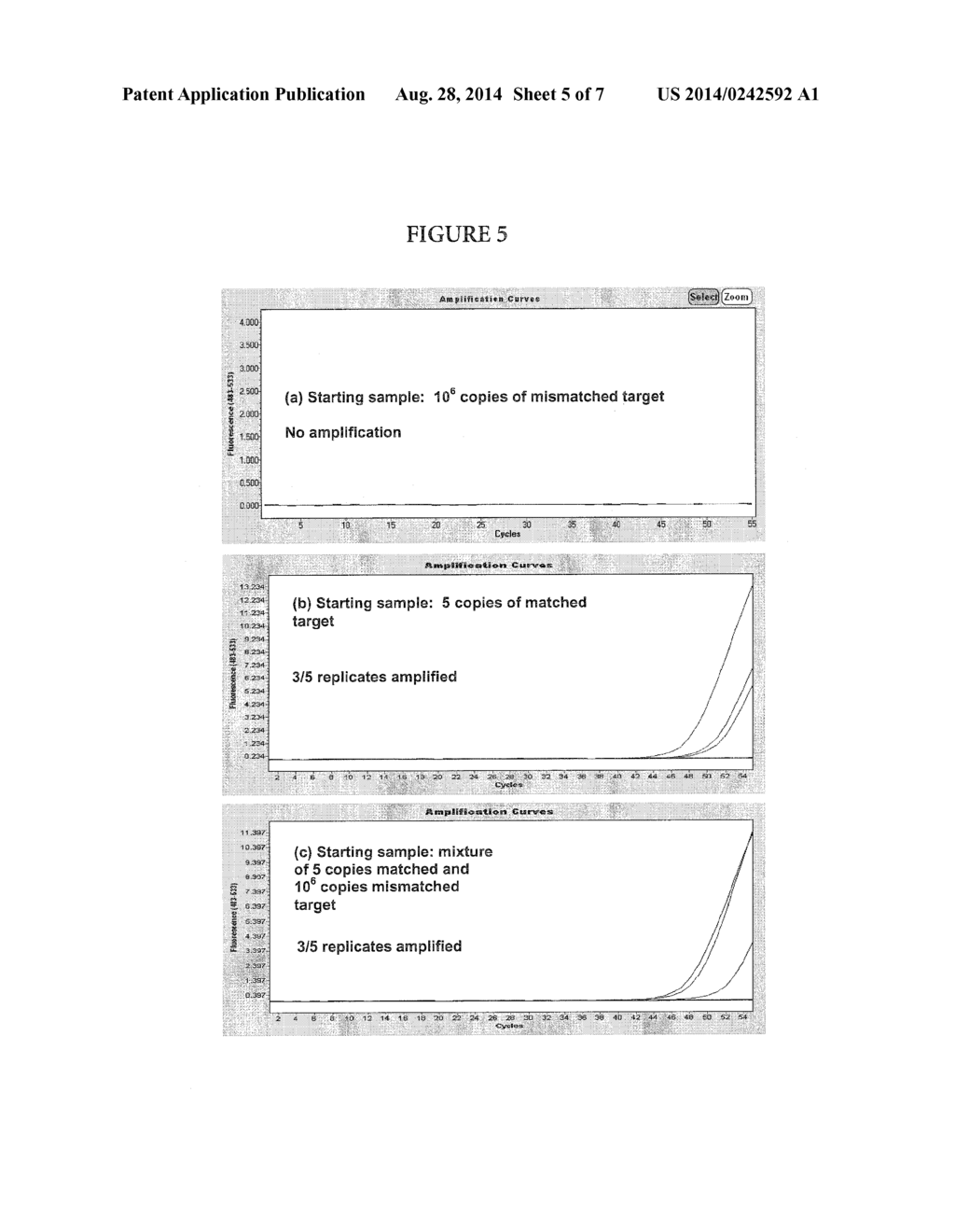 Allele-Specific Amplification - diagram, schematic, and image 06