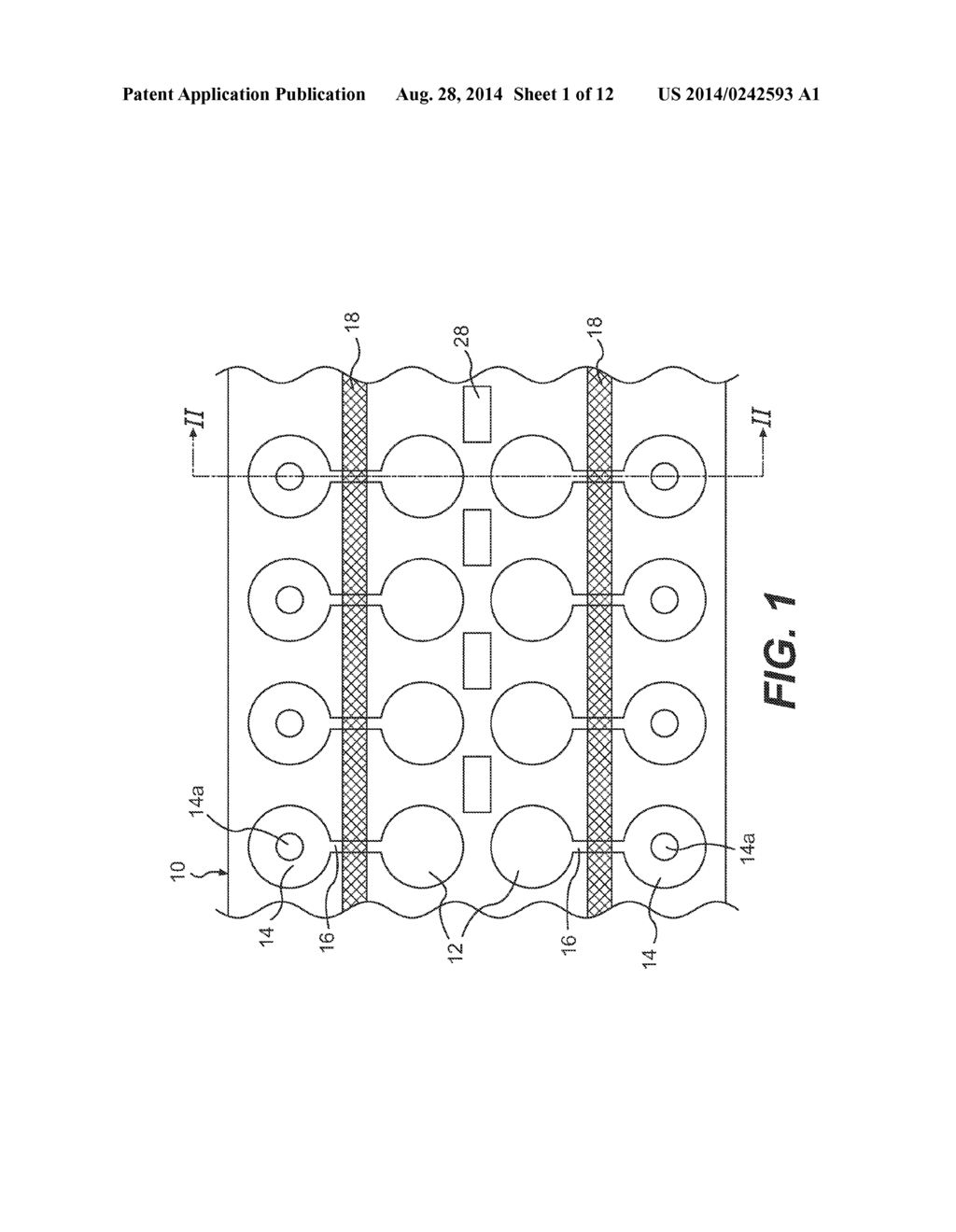 Sample Chamber Array and Method for Processing a Biological Sample - diagram, schematic, and image 02