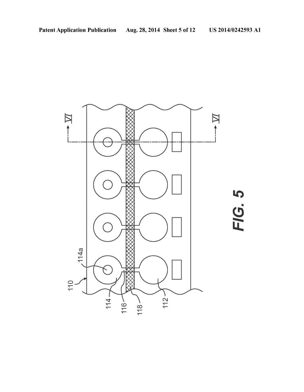 Sample Chamber Array and Method for Processing a Biological Sample - diagram, schematic, and image 06