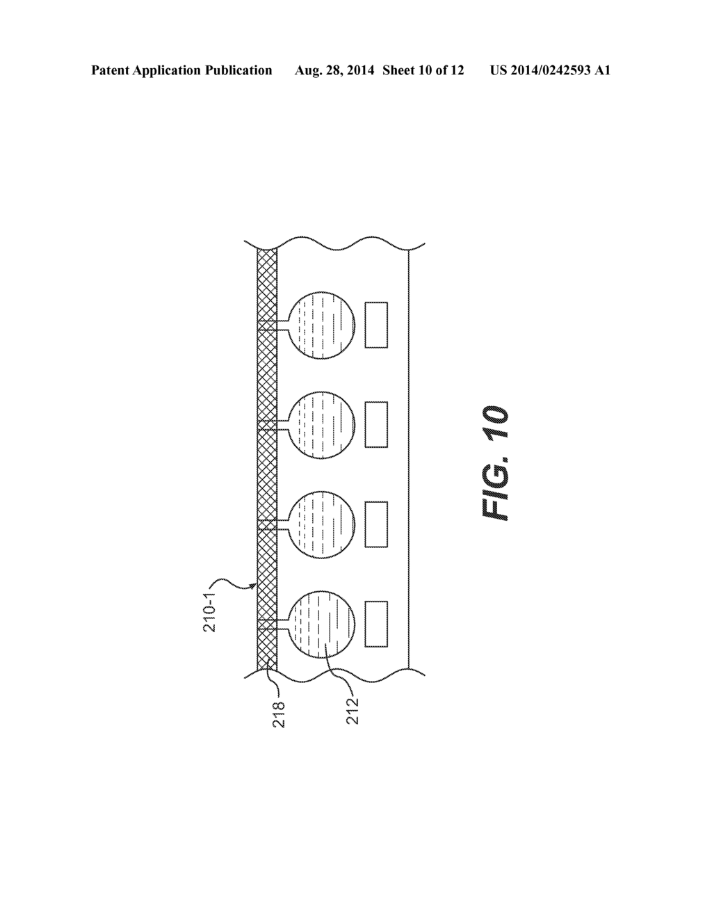 Sample Chamber Array and Method for Processing a Biological Sample - diagram, schematic, and image 11