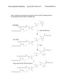 ANALYTICAL METHOD FOR FAB AND FAB  MOLECULES diagram and image