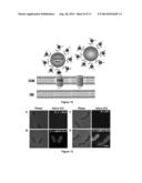 Hybrid organic-inorganic system for producing biofuels diagram and image