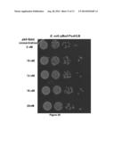 Hybrid organic-inorganic system for producing biofuels diagram and image