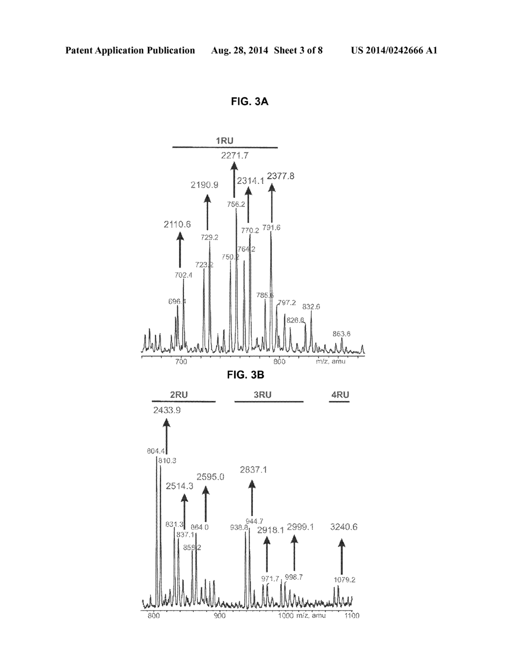 VACCINE FOR SHIGELLA - diagram, schematic, and image 04