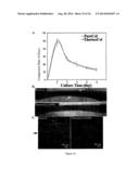 Thermally Induced Gelation Of Collagen Hydrogel And Method Of Thermally     Inducing Gelling A Collagen Hydrogel diagram and image