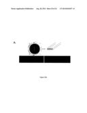 Thermally Induced Gelation Of Collagen Hydrogel And Method Of Thermally     Inducing Gelling A Collagen Hydrogel diagram and image