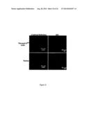 Thermally Induced Gelation Of Collagen Hydrogel And Method Of Thermally     Inducing Gelling A Collagen Hydrogel diagram and image