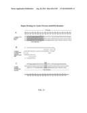 DELIVERY, ENGINEERING AND OPTIMIZATION OF SYSTEMS, METHODS AND     COMPOSITIONS FOR SEQUENCE MANIPULATION AND THERAPEUTIC APPLICATIONS diagram and image