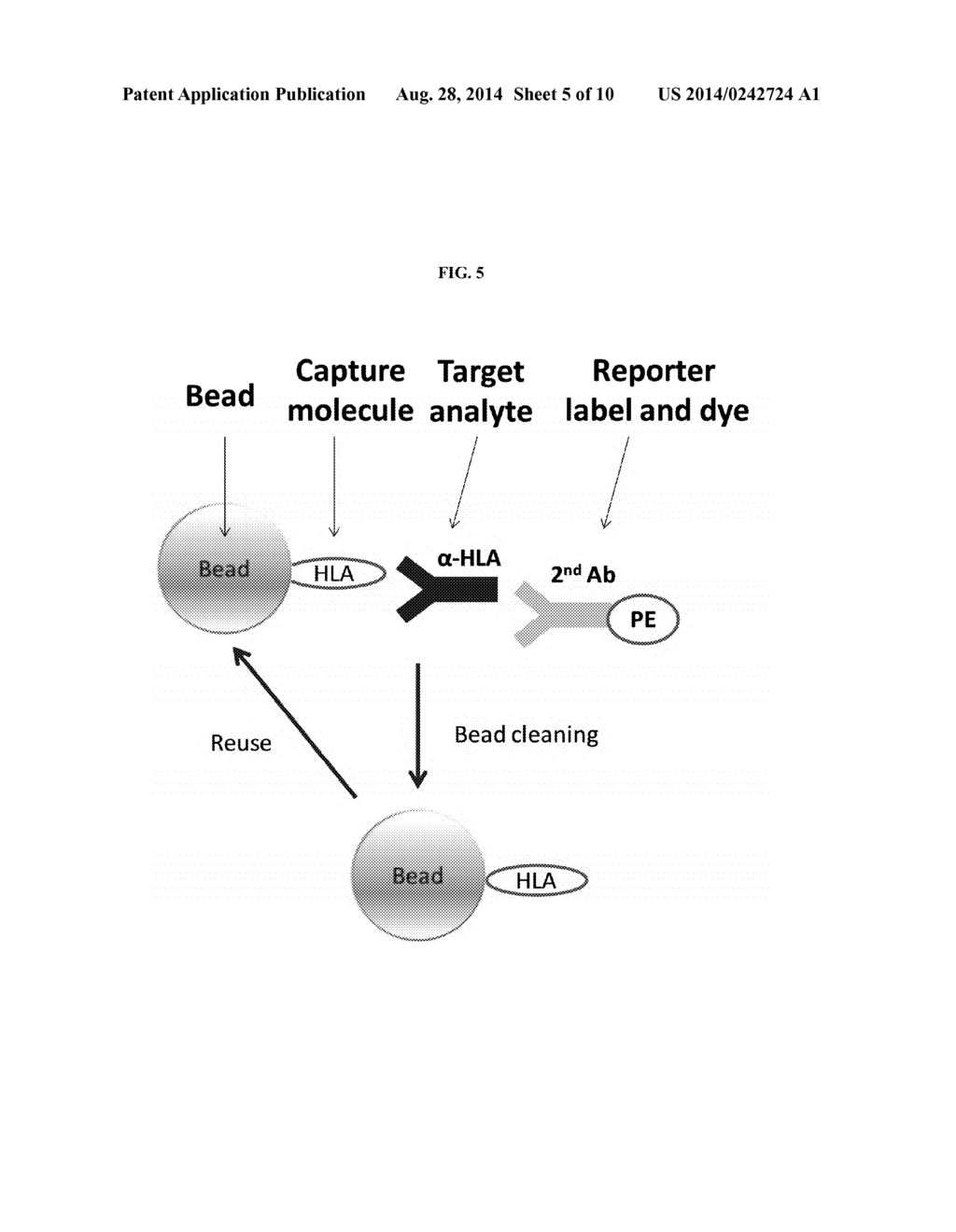 Methods and Compositions for the Efficient Reuse of Multiply Dyed     Particles - diagram, schematic, and image 06