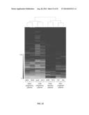 MATERNAL PLASMA TRANSCRIPTOME ANALYSIS BY MASSIVELY PARALLEL RNA     SEQUENCING diagram and image