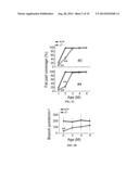 ERBB2 Peptides diagram and image