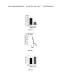 ERBB2 Peptides diagram and image