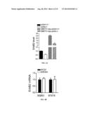 ERBB2 Peptides diagram and image