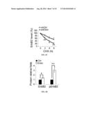 ERBB2 Peptides diagram and image