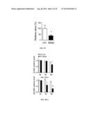 ERBB2 Peptides diagram and image