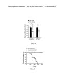 ERBB2 Peptides diagram and image