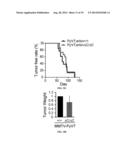 ERBB2 Peptides diagram and image