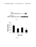 ERBB2 Peptides diagram and image