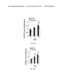 ERBB2 Peptides diagram and image