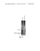 LIPID-CONTAINING PSA COMPOSITIONS, METHODS OF ISOLATION AND METHODS OF USE     THEREOF diagram and image