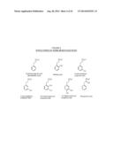 METHYLPHENIDATE-OXOACID CONJUGATES, PROCESSES OF MAKING AND USING THE SAME diagram and image