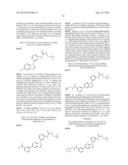 SUBSTITUTED IMIDAZOPYRIDAZINES AND BENZIMIDAZOLES AS INHIBITORS OF FGFR3 diagram and image