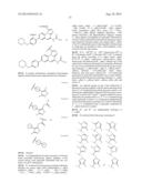 BIVALENT BROMODOMAIN LIGANDS, AND METHODS OF USING SAME diagram and image