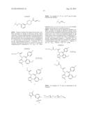 BIVALENT BROMODOMAIN LIGANDS, AND METHODS OF USING SAME diagram and image