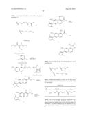 BIVALENT BROMODOMAIN LIGANDS, AND METHODS OF USING SAME diagram and image