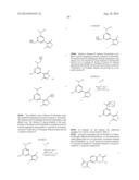 BIVALENT BROMODOMAIN LIGANDS, AND METHODS OF USING SAME diagram and image