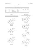 SYNTHESIS OF FUNCTIONALIZED OCTAHYDRO-ISOQUINOLIN-1-ONE-8-CARBOXYLIC     ESTERS AND ANALOGS, AND THERAPEUTIC METHODS diagram and image