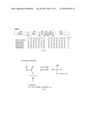 BROAD-SPECTRUM ANTIVIRALS AGAINST 3C OR 3C-LIKE PROTEASES OF     PICORNAVIRUS-LIKE SUPERCLUSTER: PICORNAVIRUSES, CALICIVIRUSES AND     CORONAVIRUSES diagram and image