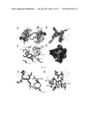 BROAD-SPECTRUM ANTIVIRALS AGAINST 3C OR 3C-LIKE PROTEASES OF     PICORNAVIRUS-LIKE SUPERCLUSTER: PICORNAVIRUSES, CALICIVIRUSES AND     CORONAVIRUSES diagram and image