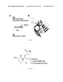 BROAD-SPECTRUM ANTIVIRALS AGAINST 3C OR 3C-LIKE PROTEASES OF     PICORNAVIRUS-LIKE SUPERCLUSTER: PICORNAVIRUSES, CALICIVIRUSES AND     CORONAVIRUSES diagram and image