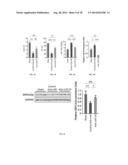 METHODS FOR IMPROVING CARDIAC CONTRACTILITY diagram and image